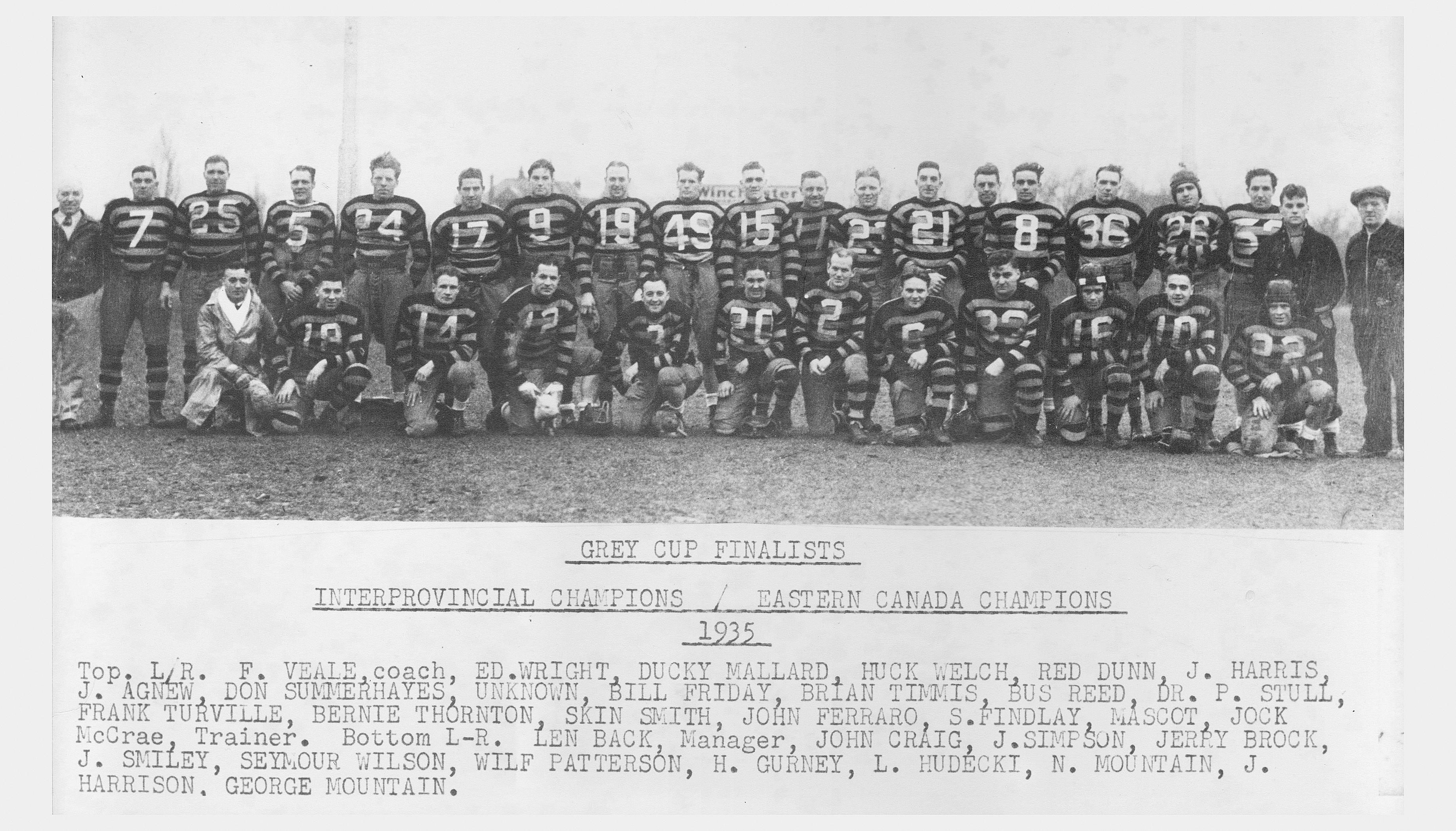 1935 Hamilton Tigers football team
